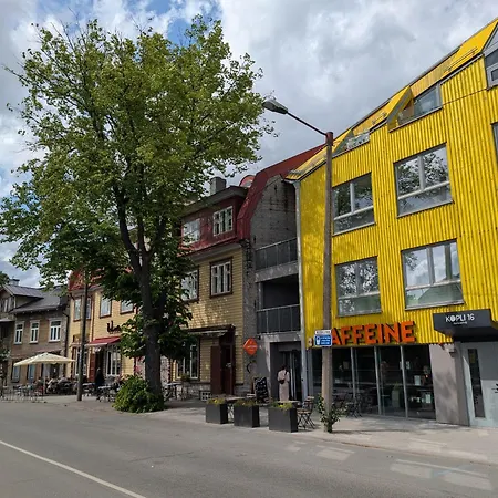 Kalamaja With Old Town View! Lägenhet *